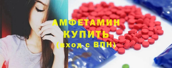 молекула духа Бородино