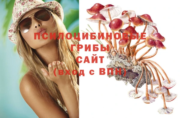 ALPHA PVP Богородицк