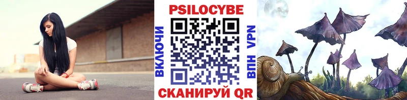 Псилоцибиновые грибы Psilocybine cubensis  Можайск 